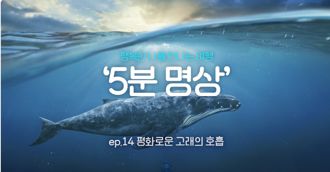[제5회 서울국제명상엑스포] K-청소년 5분명상 : ep.14 '평화로운 고래의 호흡'